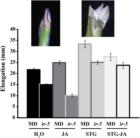 Figure 6.