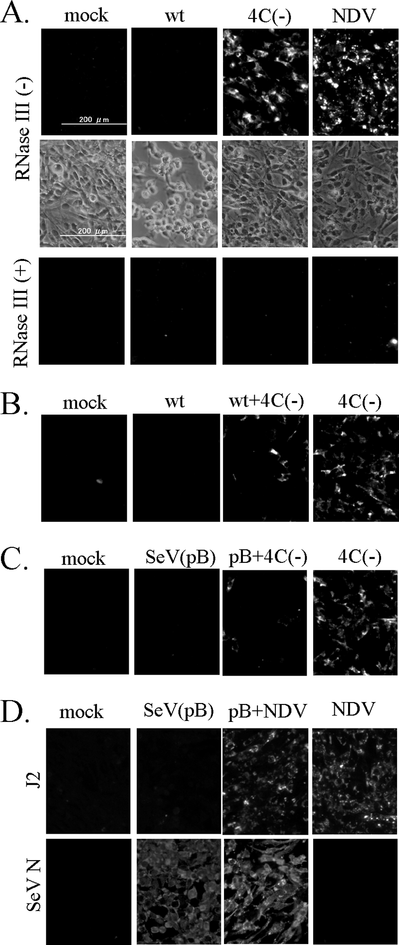 FIG. 5.