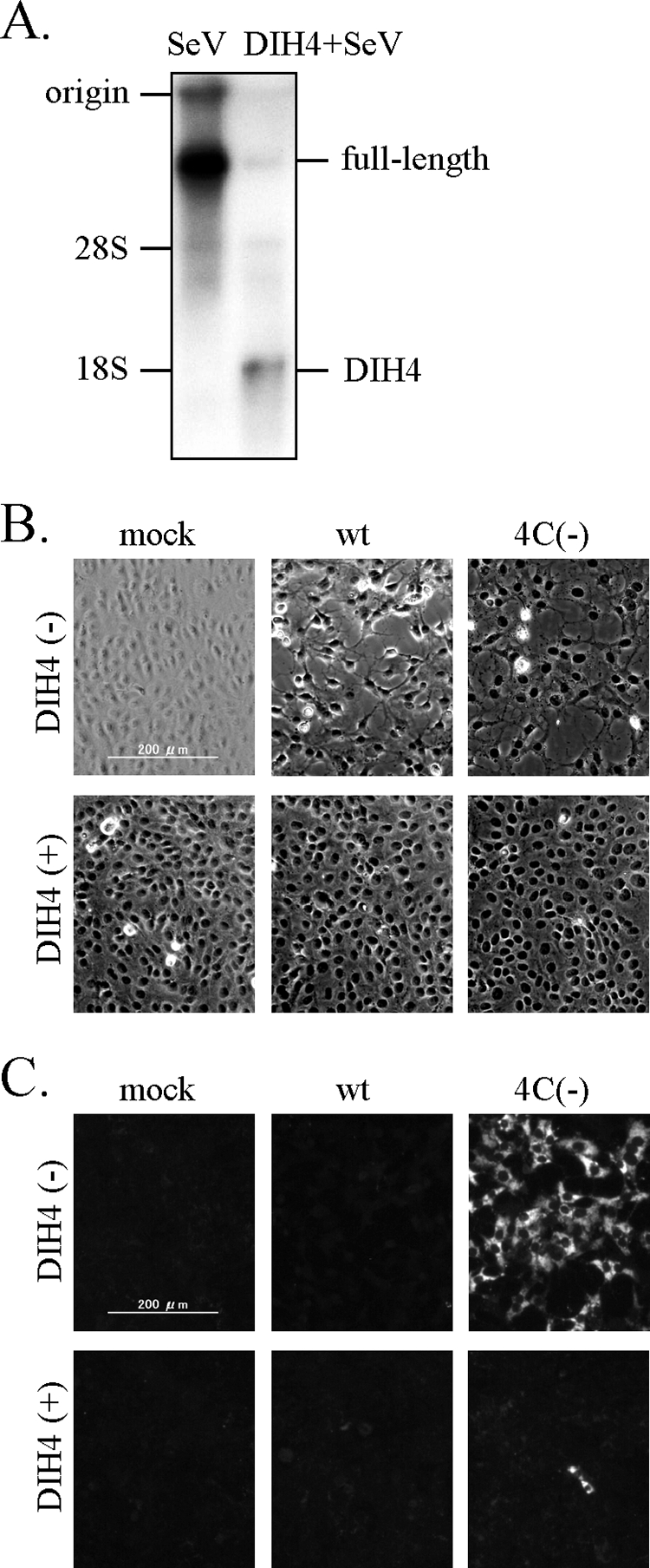 FIG. 6.