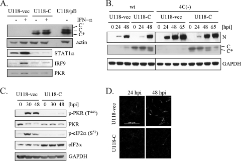 FIG. 7.