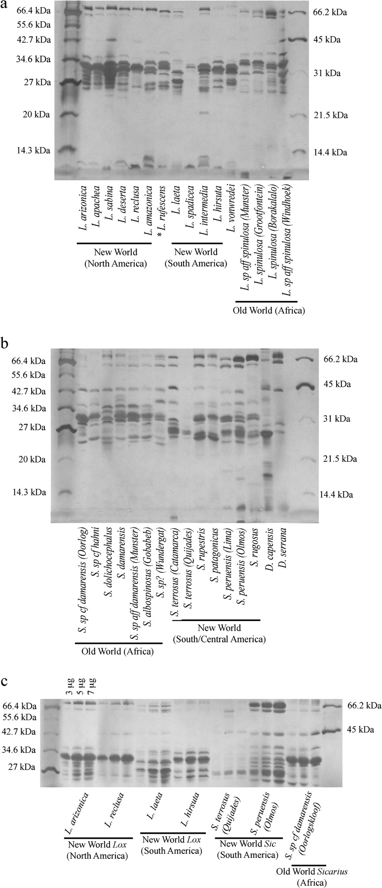 FIG. 3.—