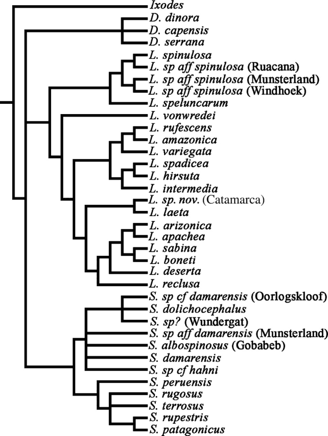 FIG. 1.—