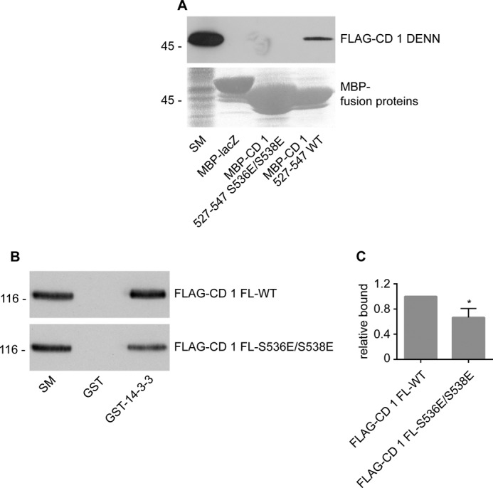 FIGURE 6.