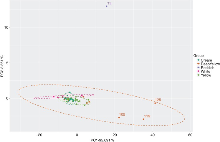 Figure 7: