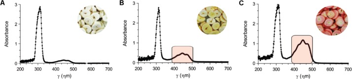 Figure 4: