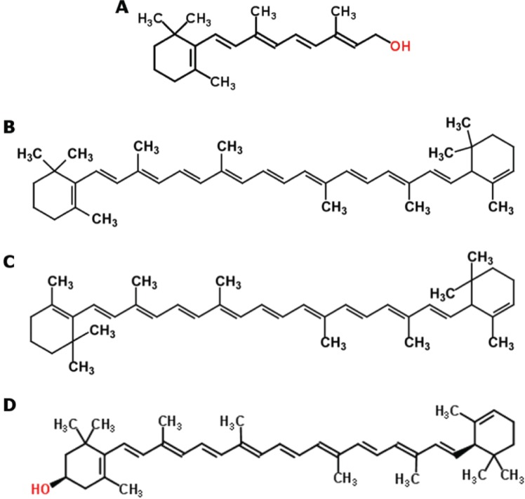 Figure 1: