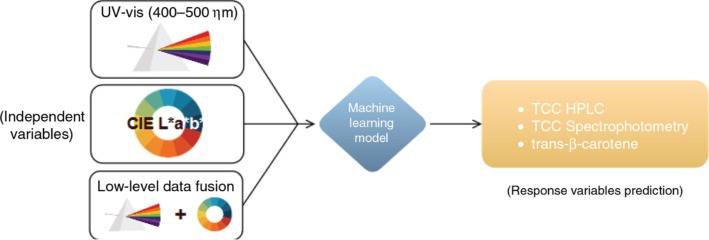 Figure 3: