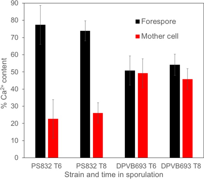 FIG 3