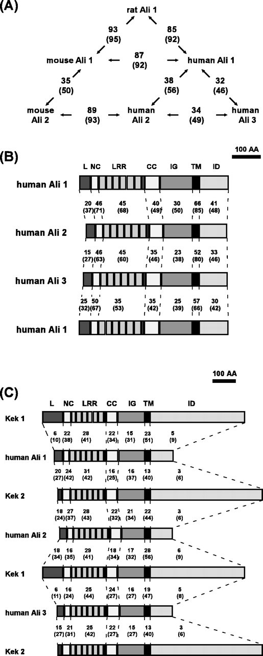 Figure 9.