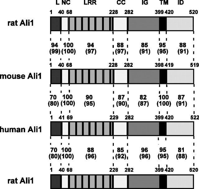 
Figure2.
