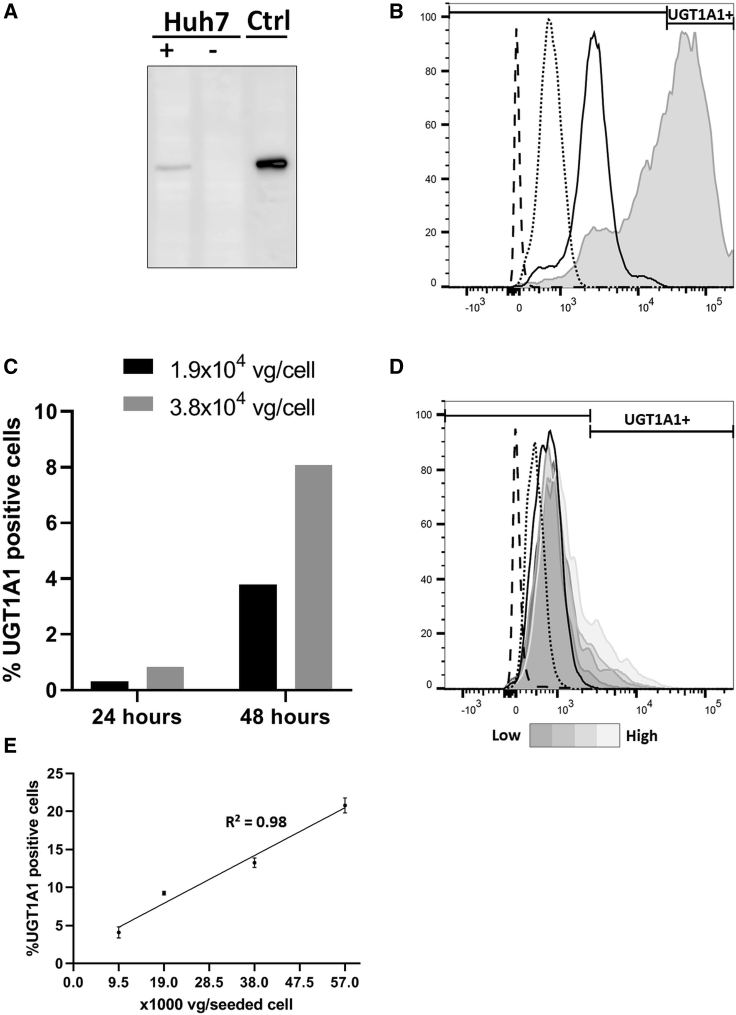 Figure 1