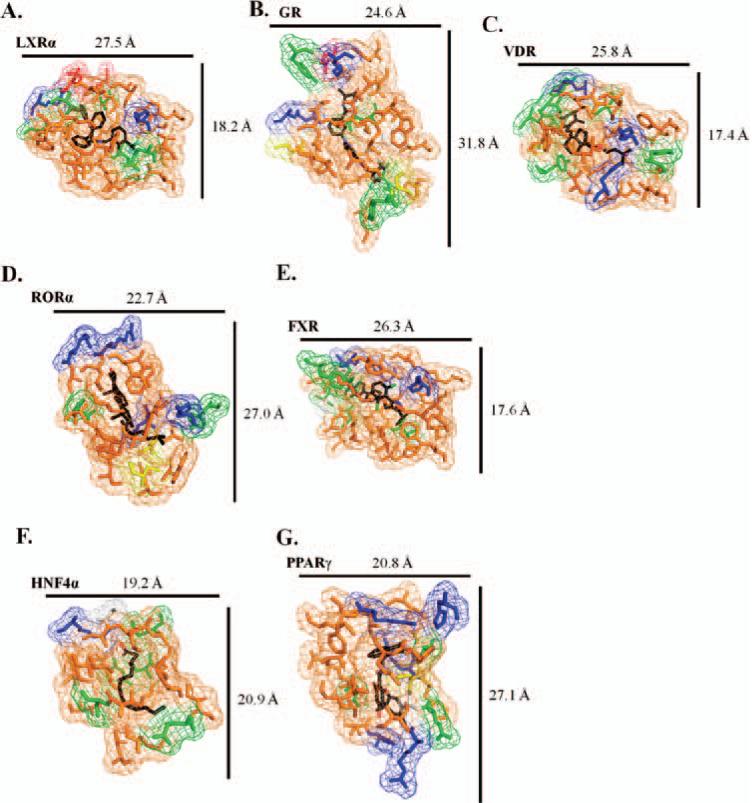 Figure 7