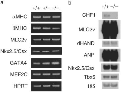 Fig 3.