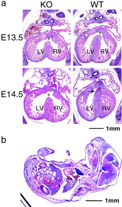 Fig 2.