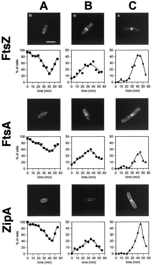 FIG.2.