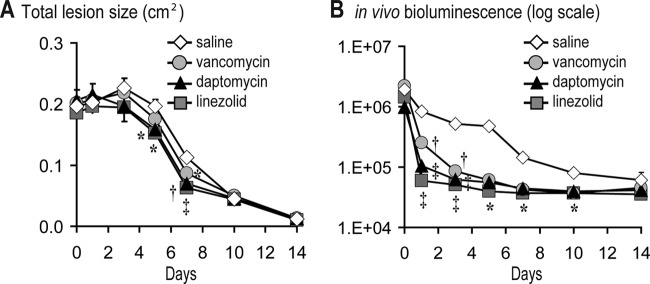 Fig 5