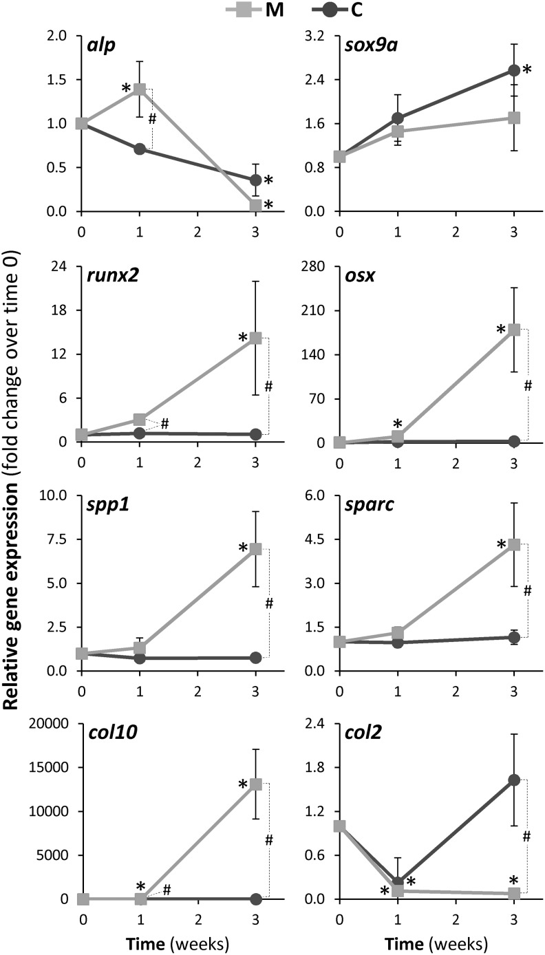 FIG. 4.