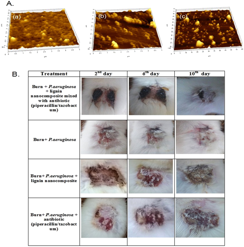 Figure 5