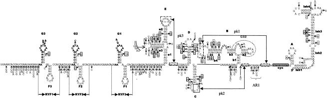 FIG. 2.