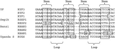 FIG. 6.