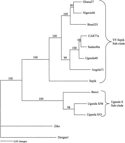 FIG. 5.