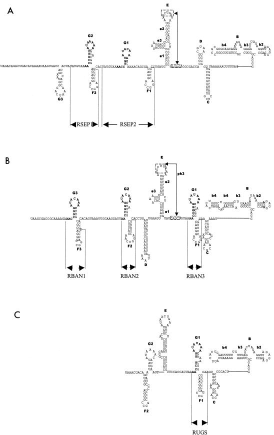 FIG. 7.