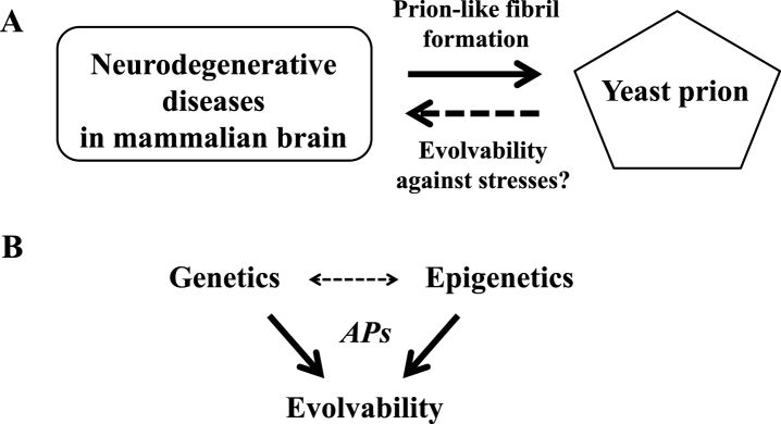 Fig.1