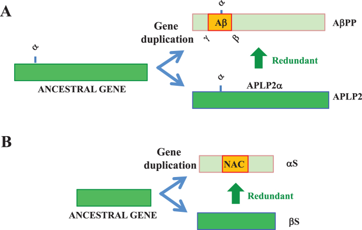 Fig.2