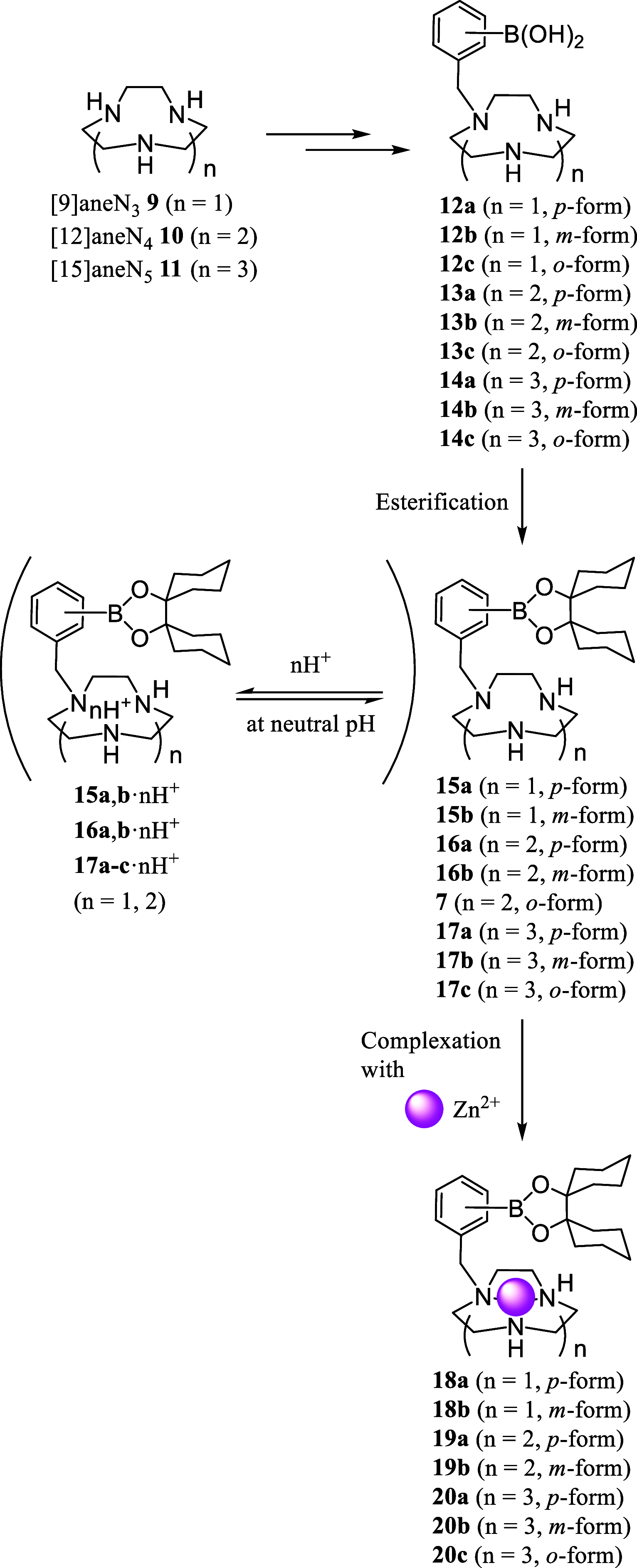 Scheme 4