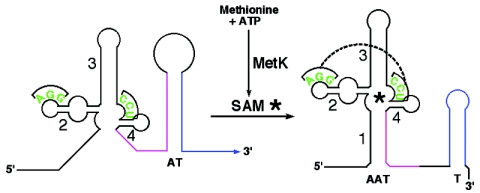 FIG. 1.