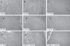 Figure 7)