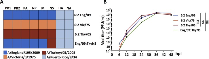 Fig 1