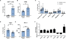 Figure 6