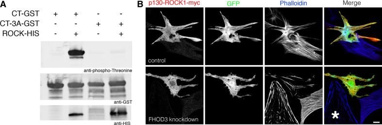 Fig. 8