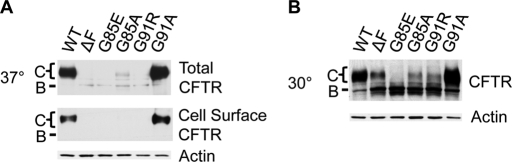 FIGURE 7: