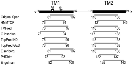 FIGURE 1: