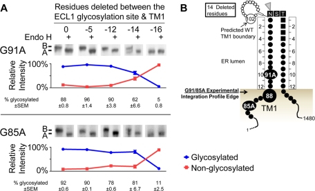 FIGURE 6: