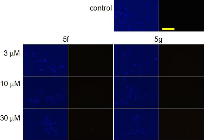 Fig 4