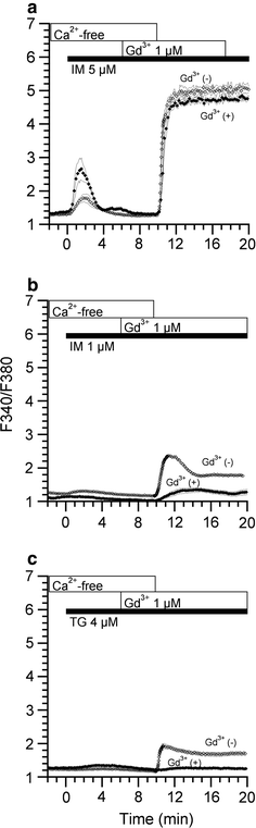 Fig. 6