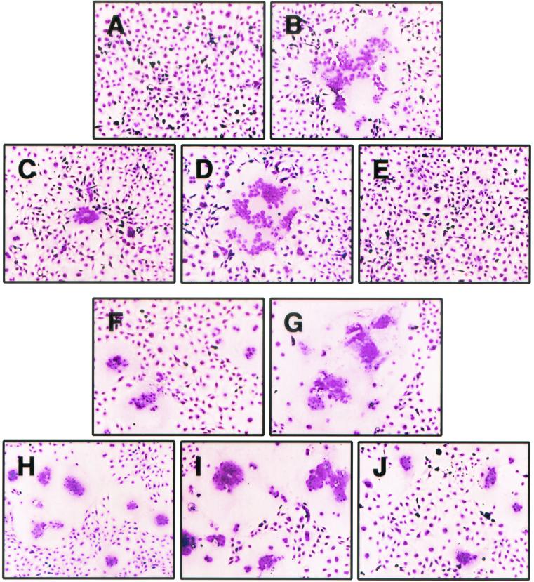 FIG. 10.