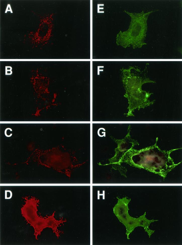 FIG. 9.