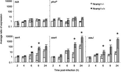 Fig 2.