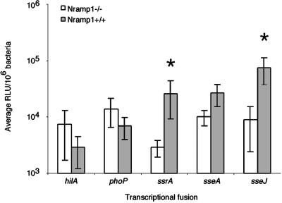 Fig 3.