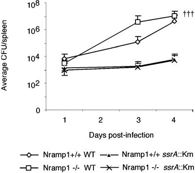 Fig 1.