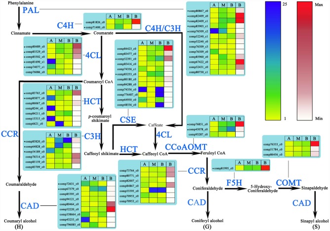 Fig 6