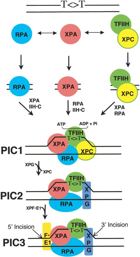 Figure 9.