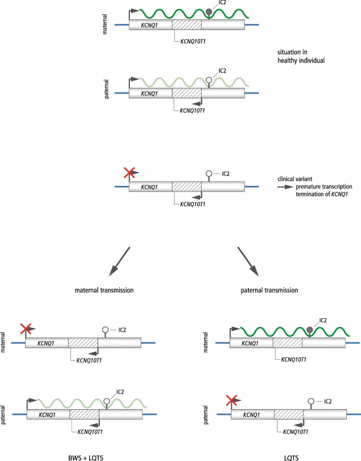 Fig. 2