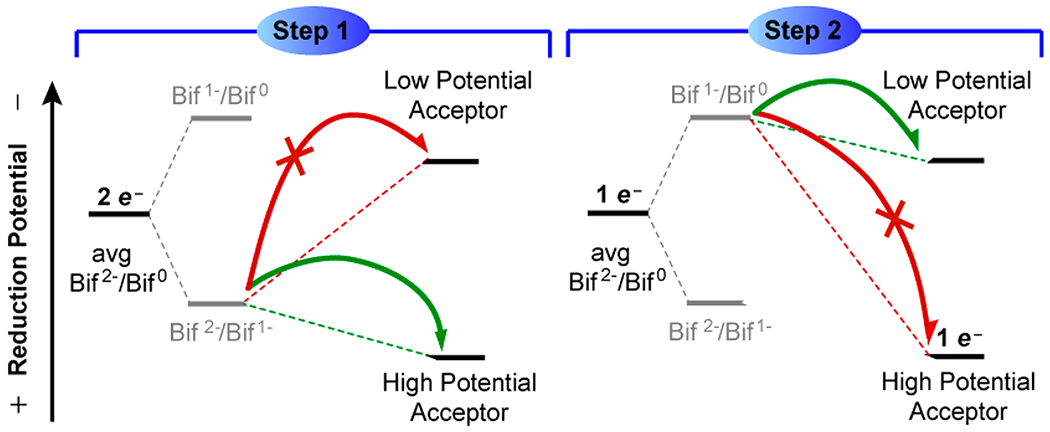 Figure 12.