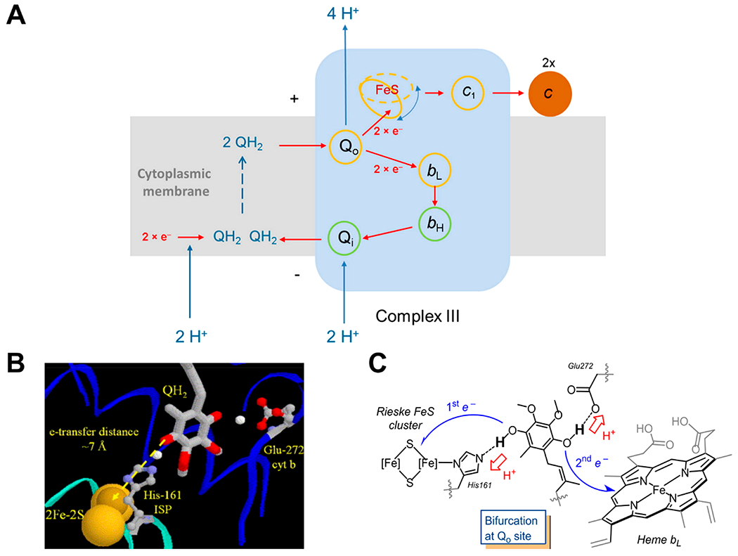 Figure 13.