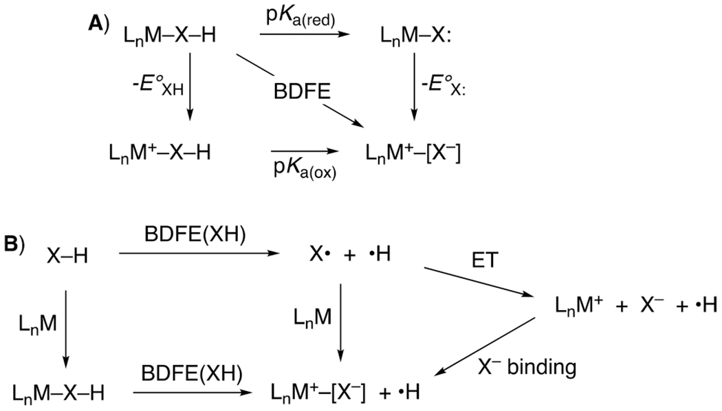 Scheme 7.